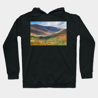 Wide view into Glen Roy in the Highlands of Scotland Hoodie